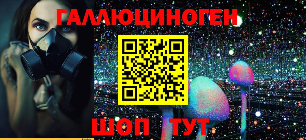 Псилоцибиновые грибы GOLDEN TEACHER Чистополь