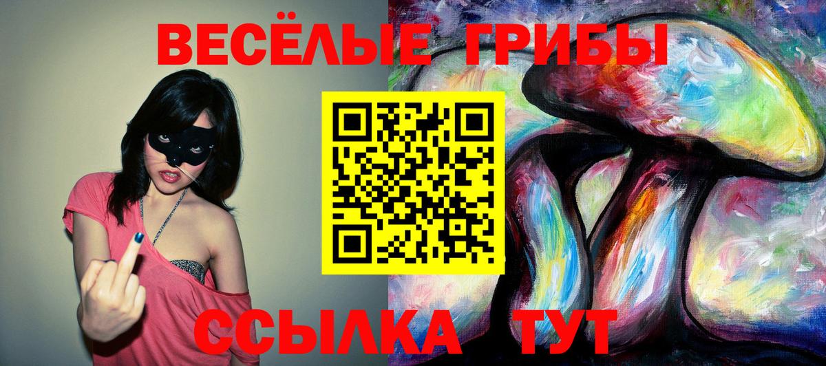 Чистополь  Галлюциногенные грибы MAGIC MUSHROOMS  Галлюциногенные грибы MAGIC MUSHROOMS  Вход с VPN 